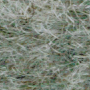 Pawling Rigid-Back Nylon “SNC” insert Winter Slate color a.k.a. 596